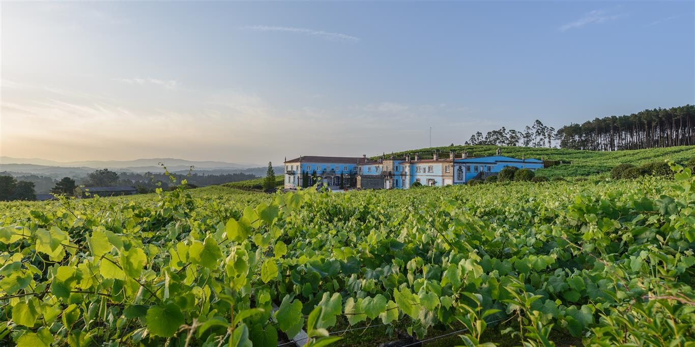 Granbazan bodega winery albariño