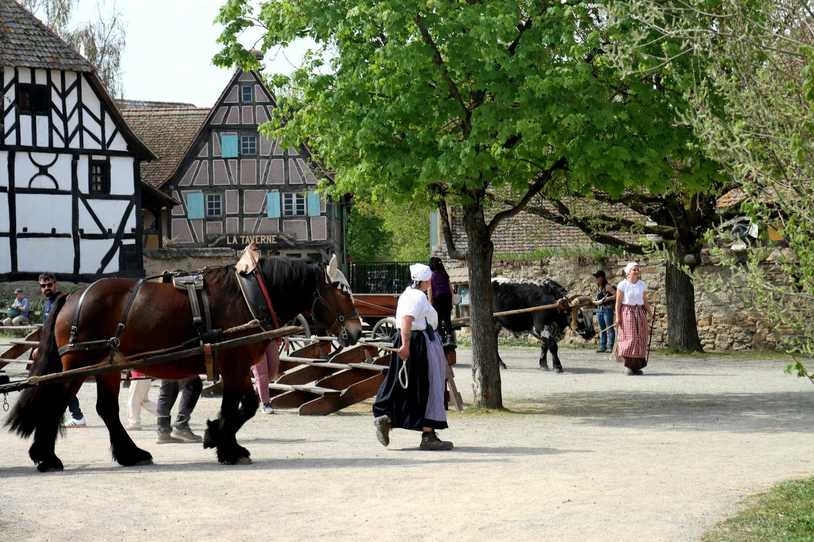 Traditional farm scene in Alsatian village with horses and people in period costumes, Ungersheim, France.