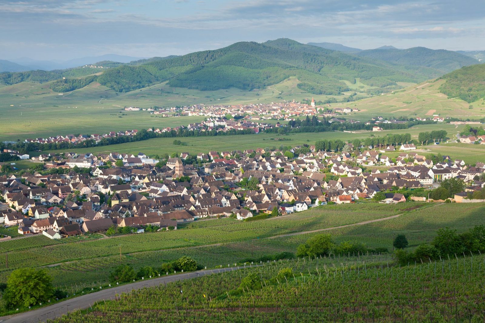 Aerial view of Mittelwihr village surrounded by vineyards and hills in the French countryside.