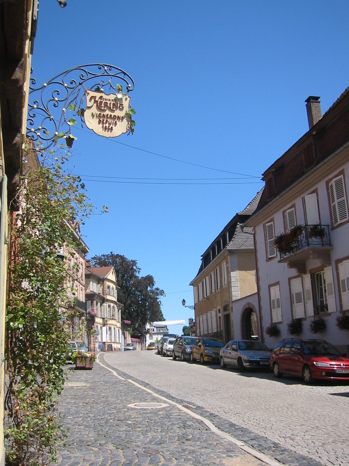 Domaine Hering, winery in Barr, Alsace