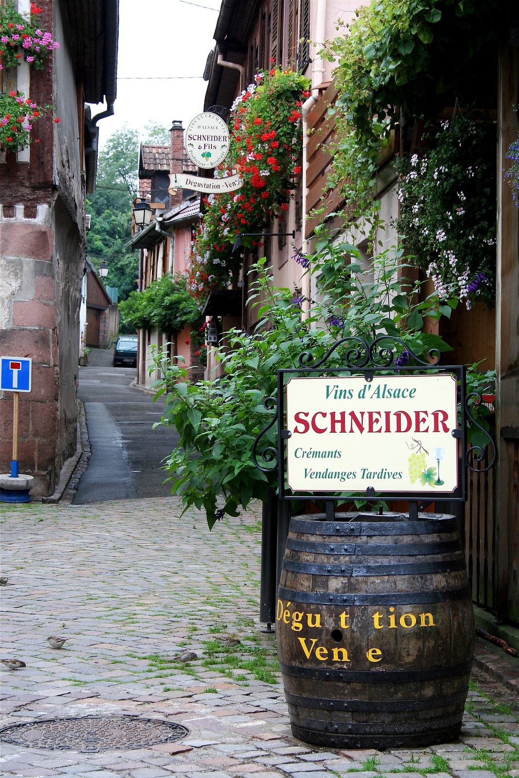 Eguisheim, Alsace, winery "Schneider & fils"