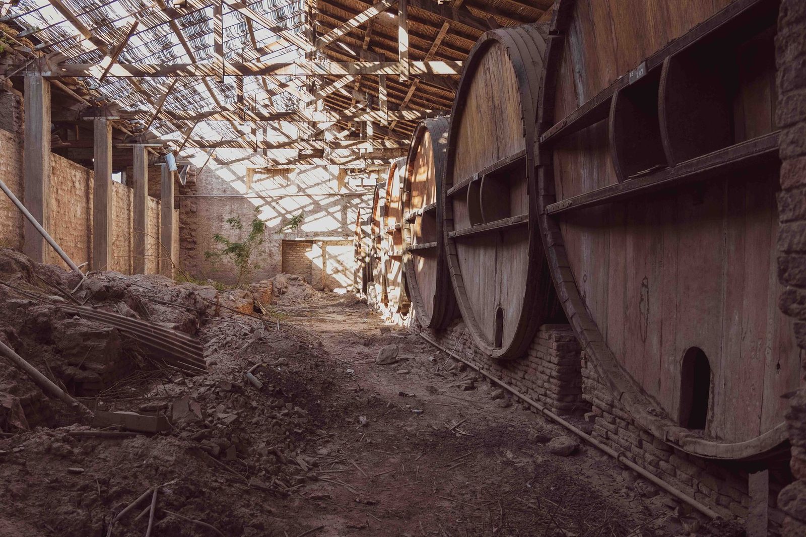 A rustic abandoned wine cellar with large wooden barrels, evoking a sense of history and decay.