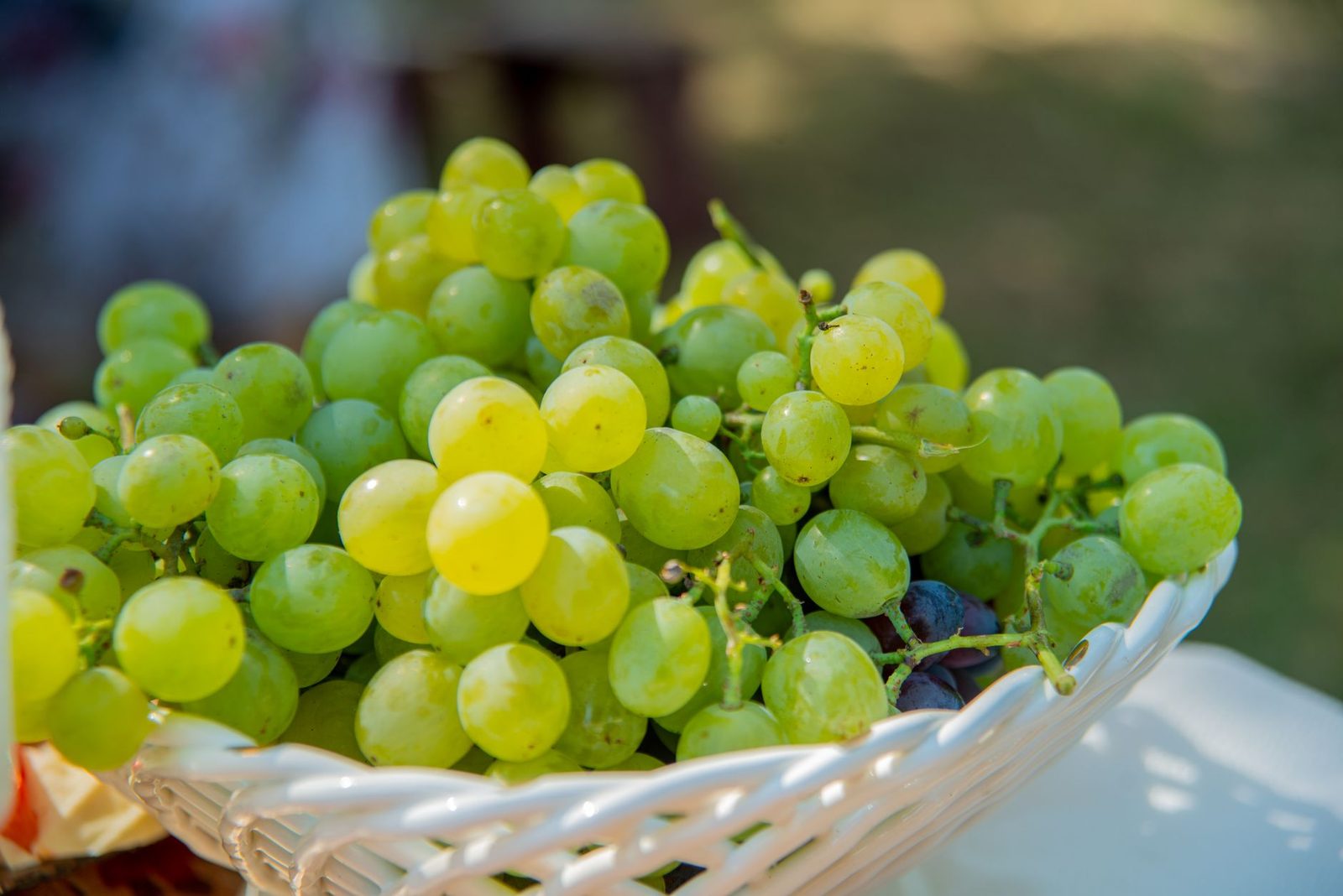 A vibrant image of fresh green grapes in a woven basket taken outdoors in sunlight.