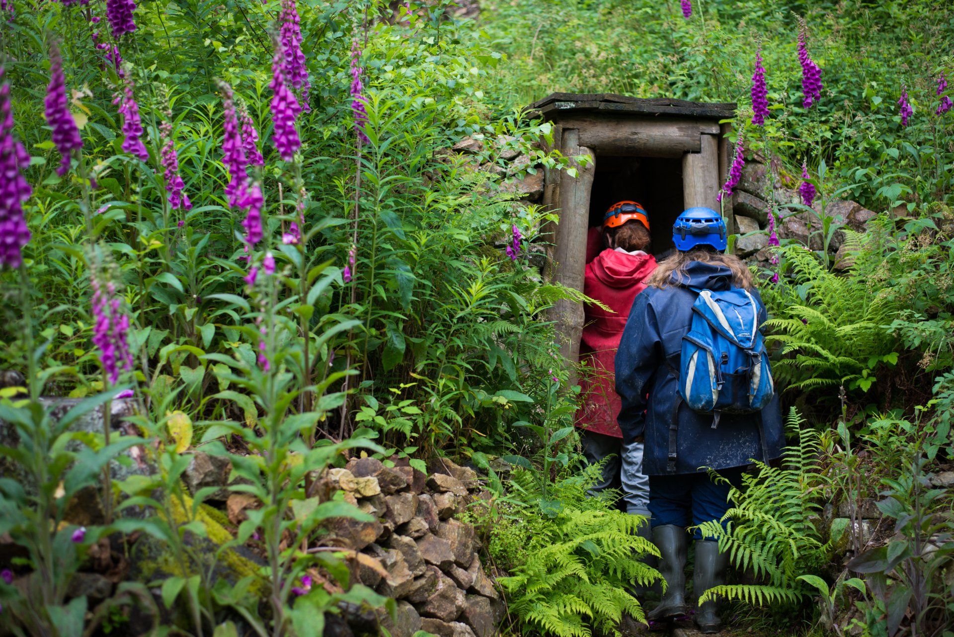 L'Aventure des Mines (ASEPAM)
