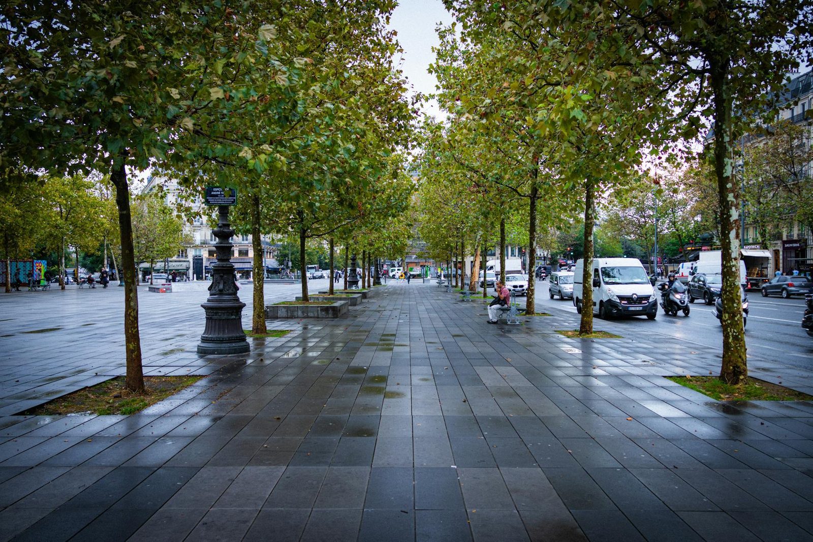 A serene urban street with lined trees and vehicles on a wet pavement, showcasing city life.