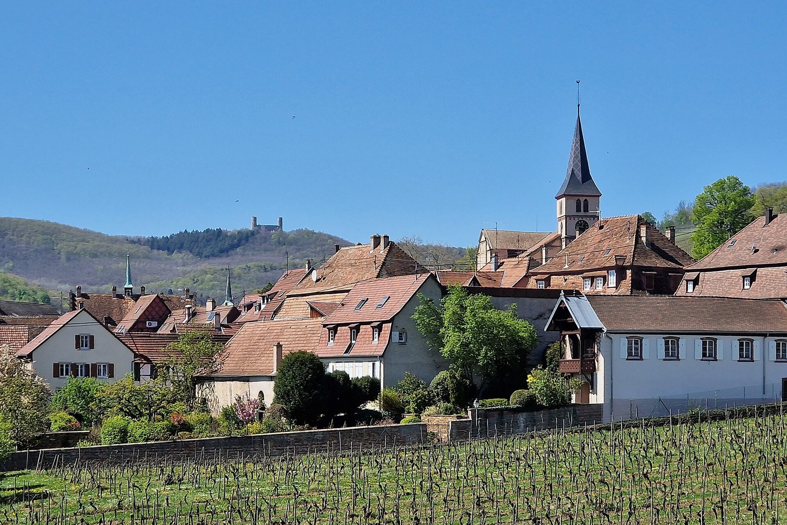 Barr, France, April 2022