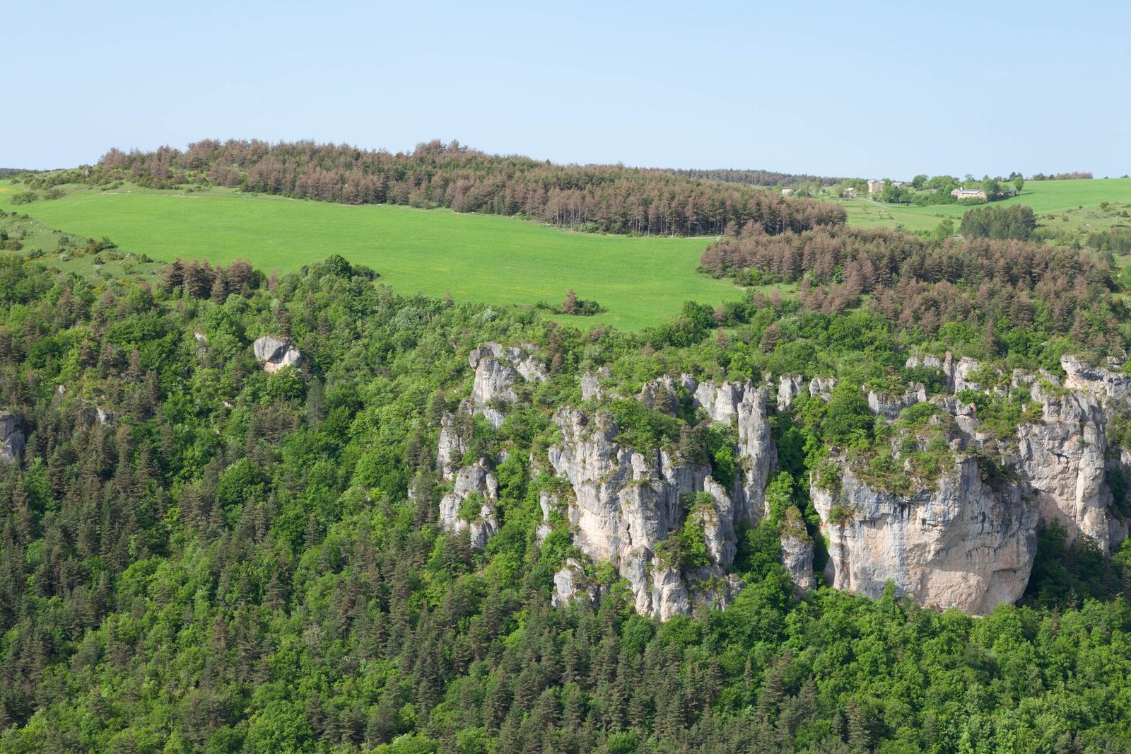 Explore the lush greenery and distinctive cliff formations in Meyrueis, Occitanie, France, captured from above.