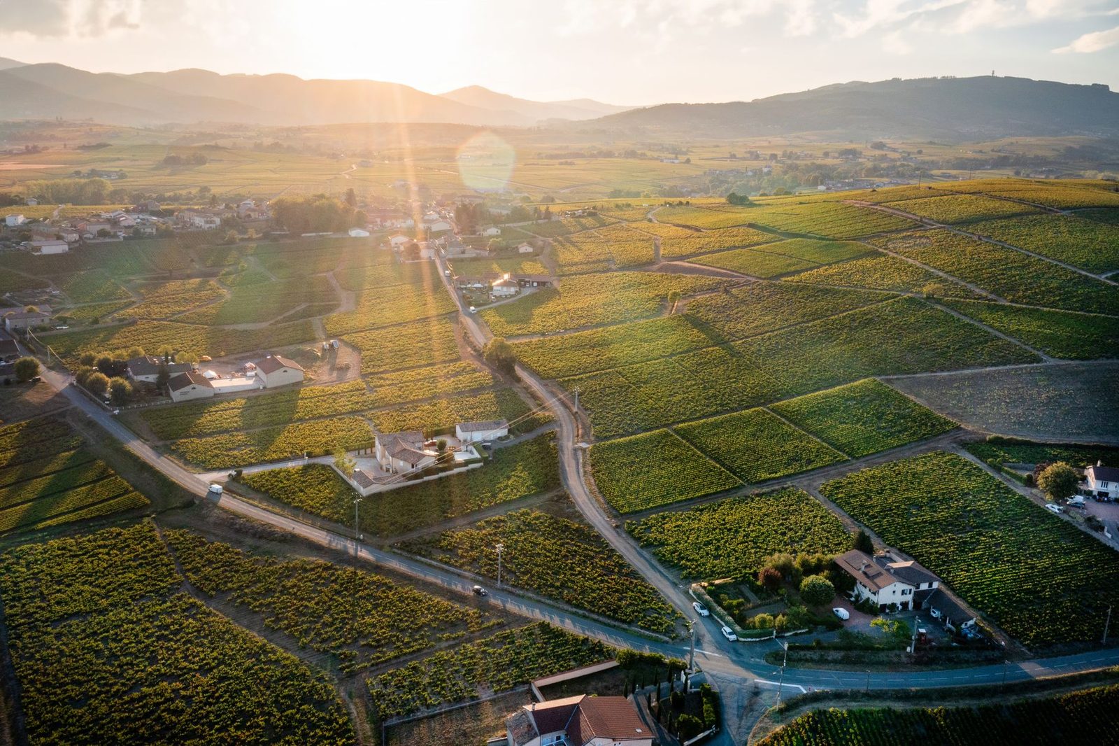 Drone shot of the picturesque vineyards in Villié-Morgon, France at sunrise, featuring green fields and rural landscapes.