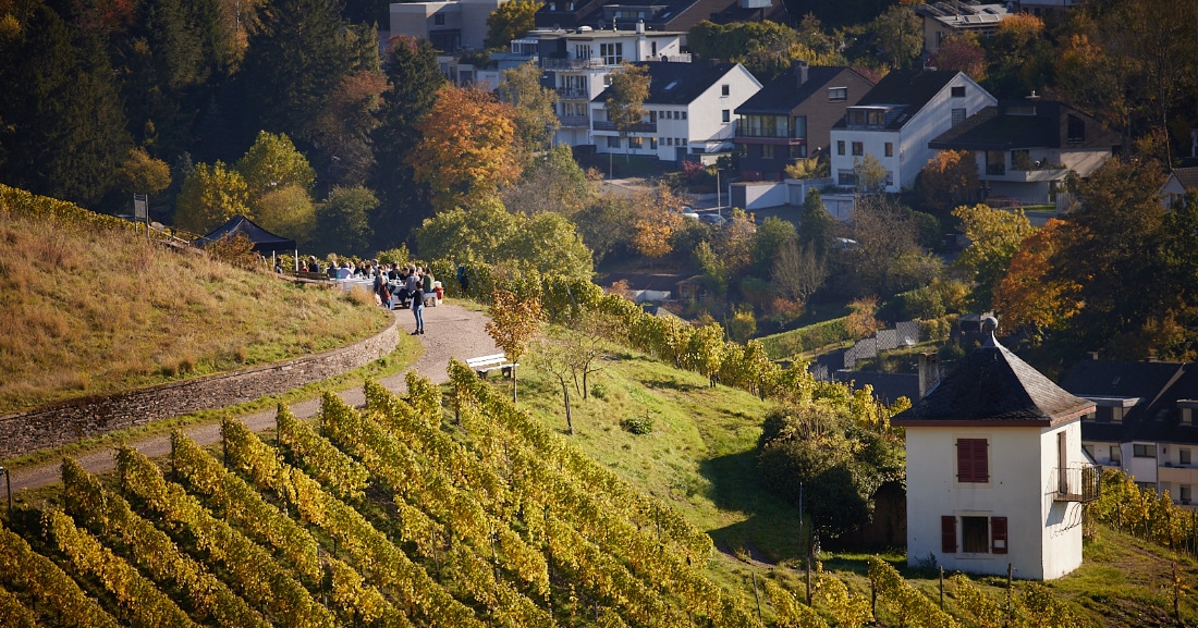 Exklusives Hotel, Gourmet-Restaurant & Weingut in der Moselregion Trier - BECKERS