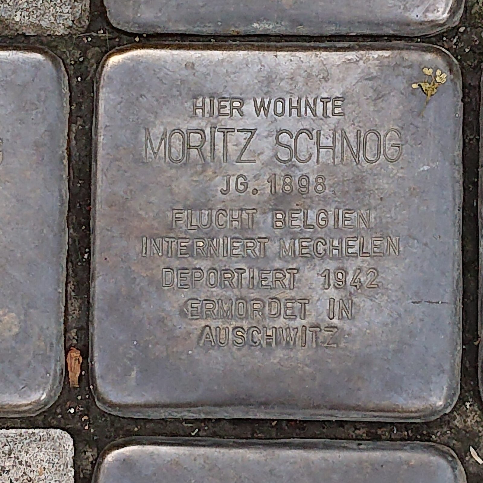 Bergheim Krankenhausstrasse Stolperstein Moritz Schnog