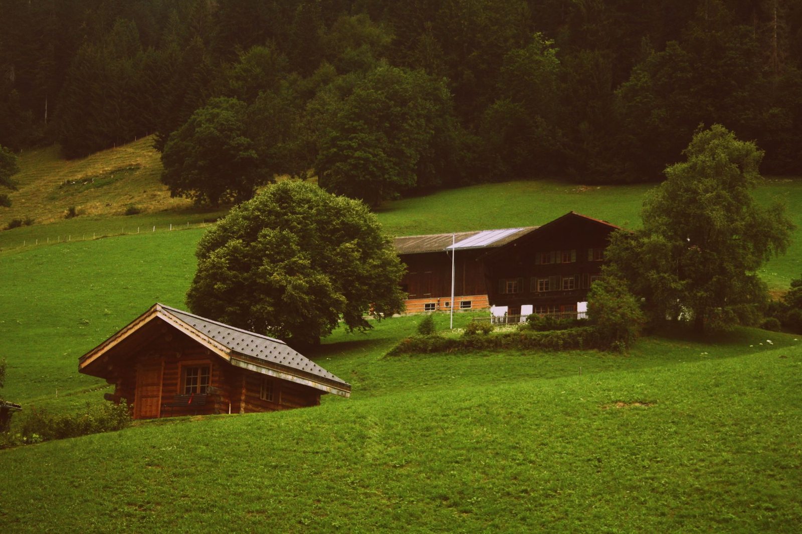 Idyllic Swiss landscape featuring traditional wooden farmhouses nestled in lush green hills and serene nature.