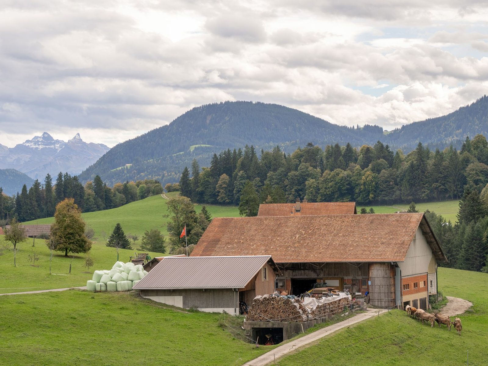 Scenic view of a Swiss farmhouse nestled in lush, green mountainscape, perfect for rural themes.