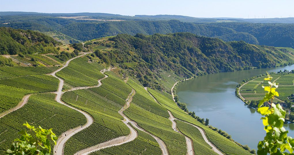 Bischöfliche Weingüter Trier