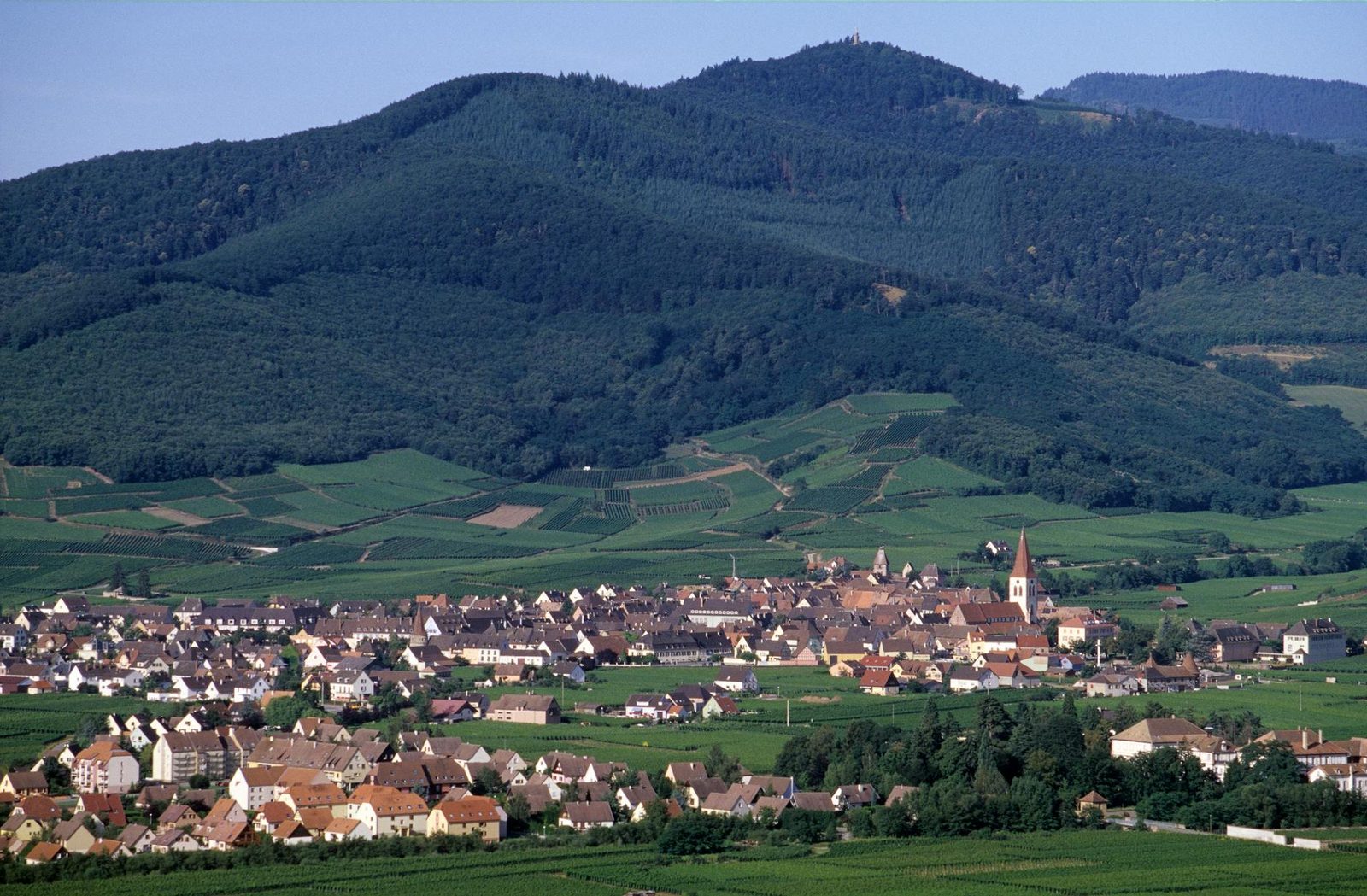 Scenic view of Munster village nestled against lush hills in Alsace, France.