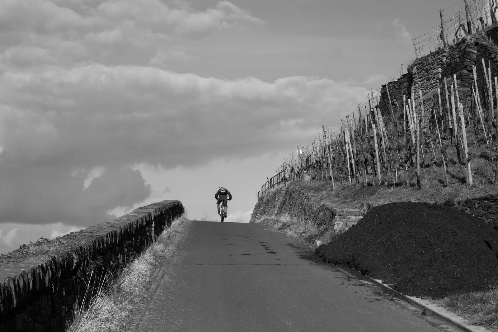 Black and white photo of a cyclist on a hill road with vineyards.