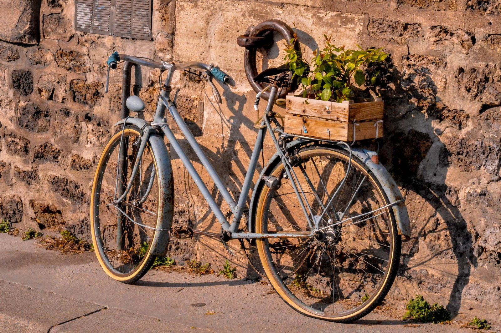 Charming vintage bicycle with plants in a wooden box against a stone wall in Paris. Perfect for travel and lifestyle visuals.
