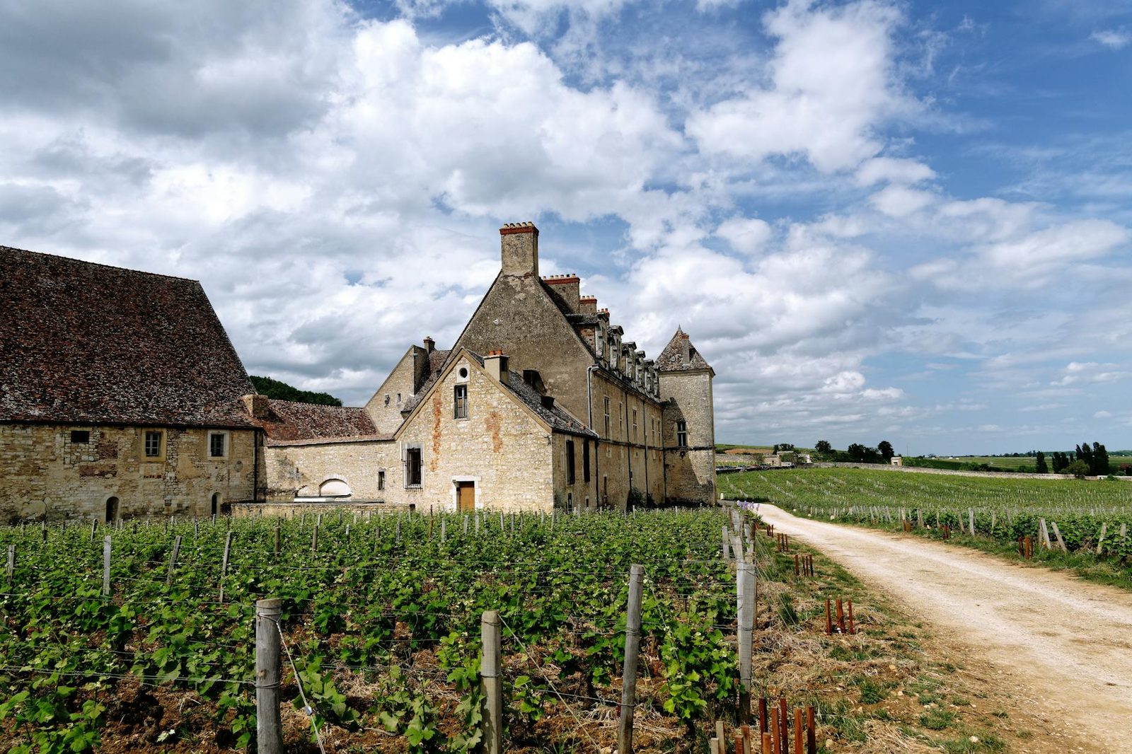 Château de Vougeot amid lush Burgundy vineyards under a bright sky.
