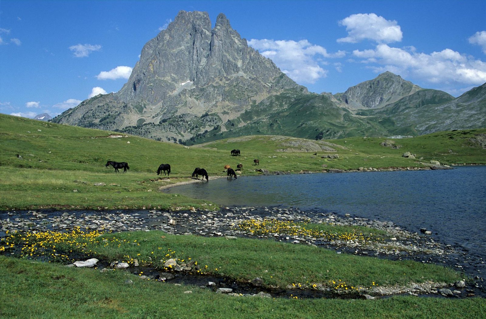 Stunning view of Lac Gentau with horses and Pic du Midi d'Ossau in the French Pyrenees.