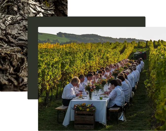 Accueil - Domaines Vinsmoselle