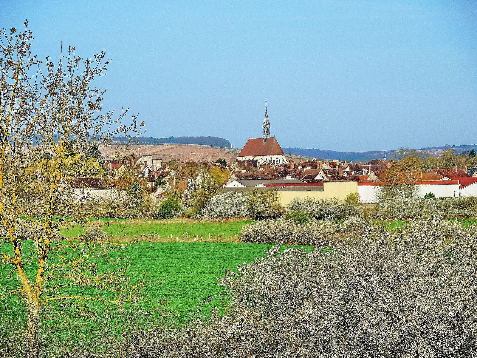 Chablis. Panorama printanier 2015-04-12