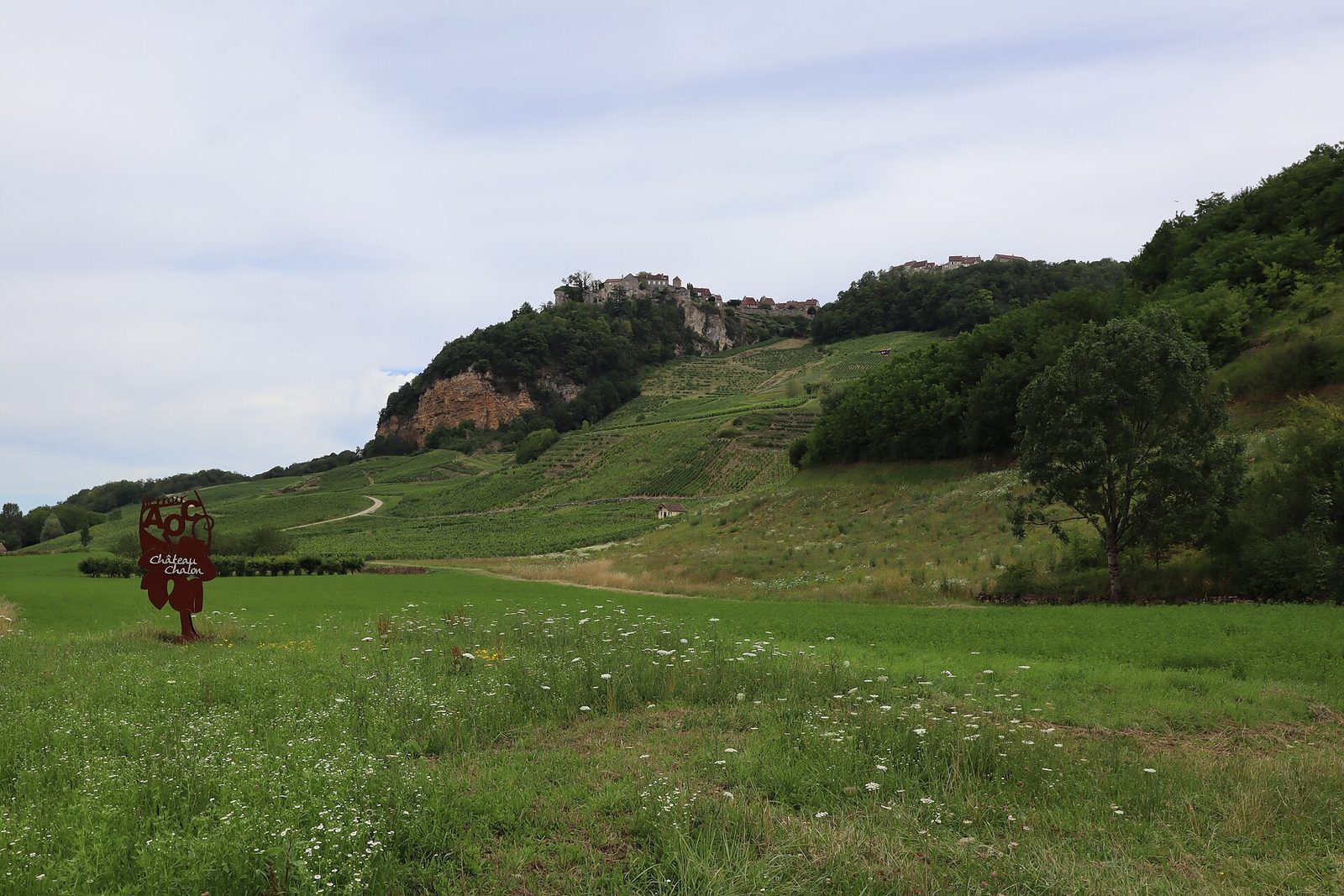 Vignoble de Château-Chalon (Jura) 01