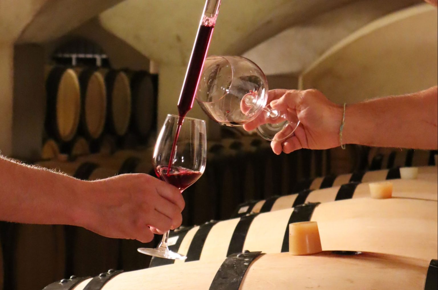Château de Marsannay l L'appellation montante