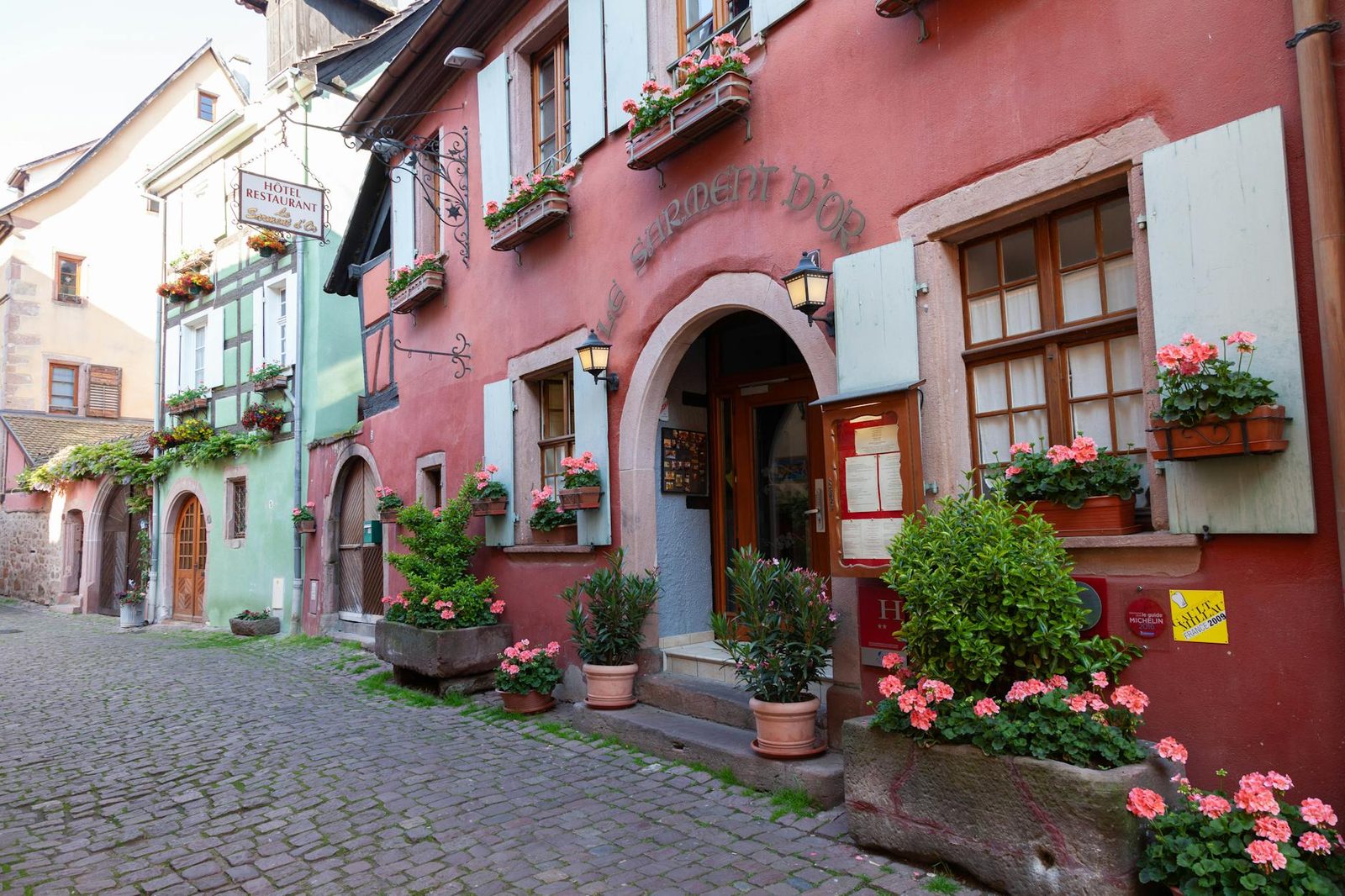 Picturesque cobblestone street in Riquewihr, France with colorful buildings and vibrant flowers.
