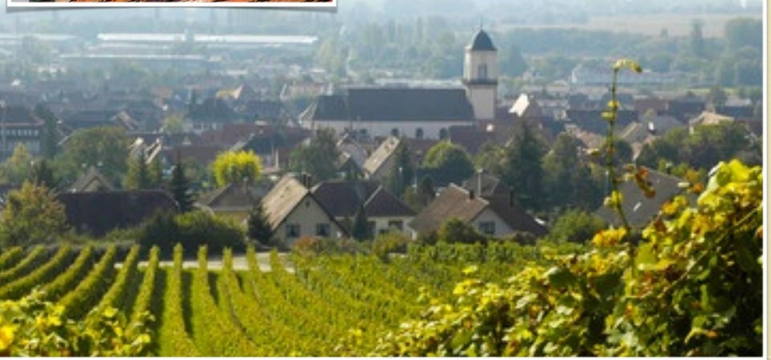 Un village viticole de la Couronne d'Or sous son clocher