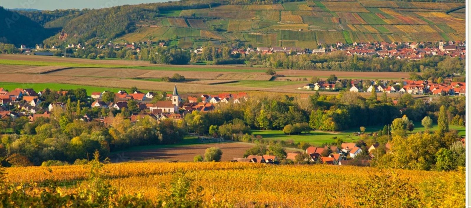 Les villages de la Couronne d'Or parmi les vignes d'automne