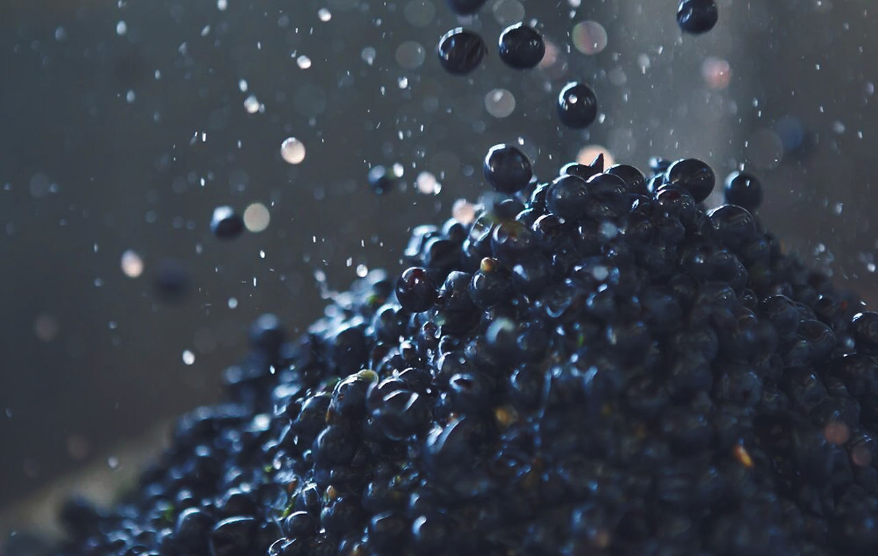 Domaine Bertagna