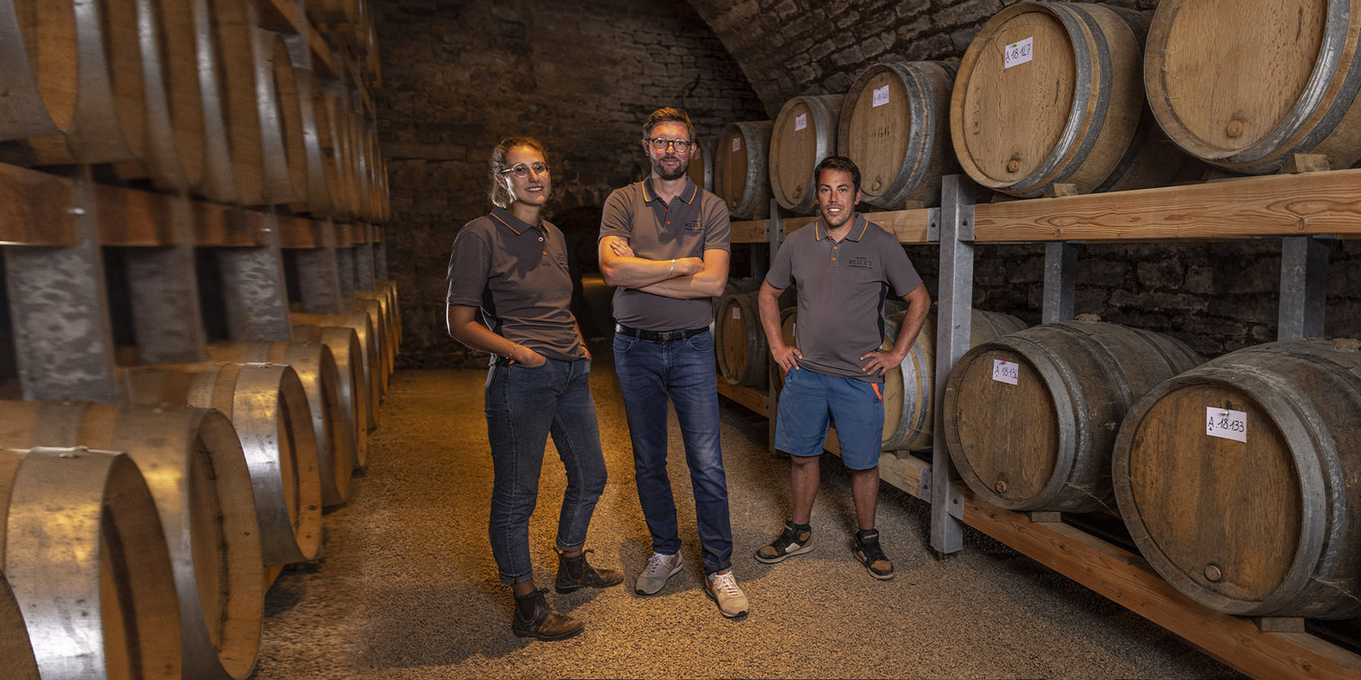 Domaine Rolet - Arbois - Jura
