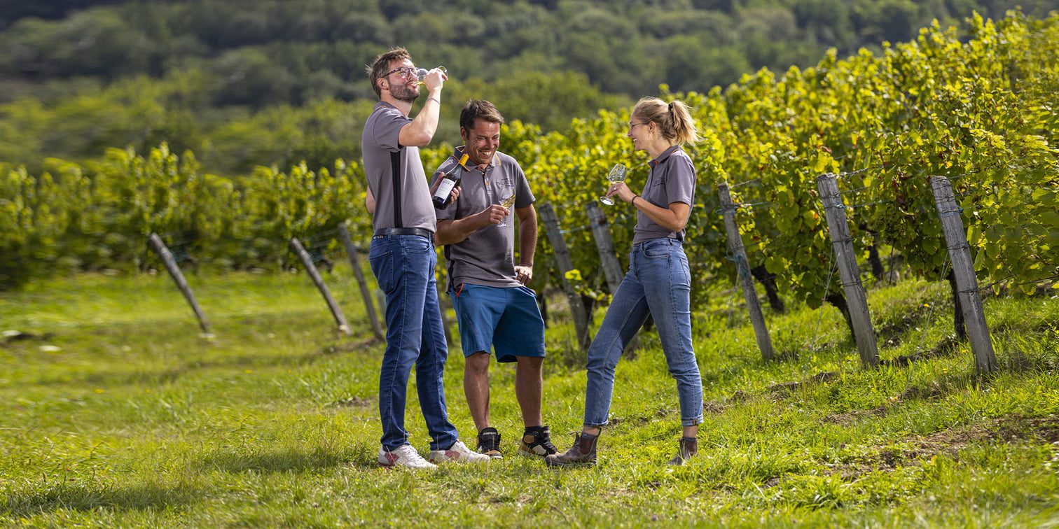 Domaine Rolet - Arbois - Jura