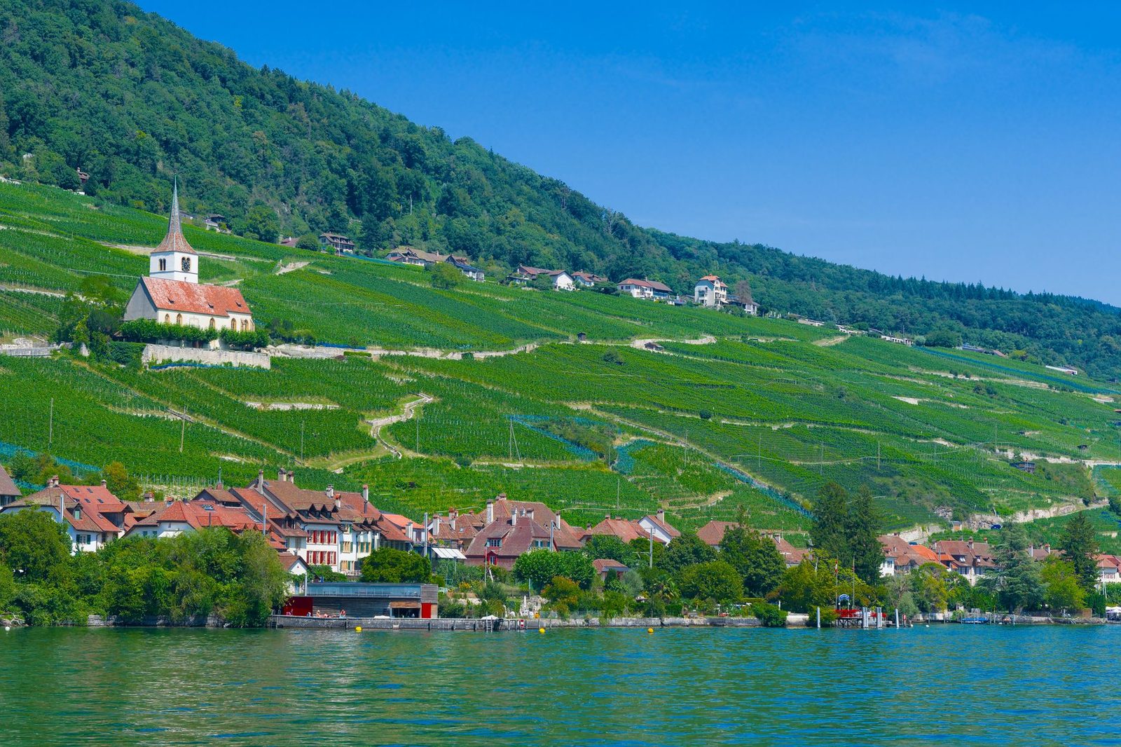 Charming view of Ligerz village, lush vineyards, and iconic church by Lake Biel, Switzerland.