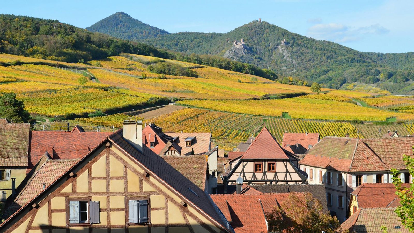 Domaine Sunnen-Hoffmann