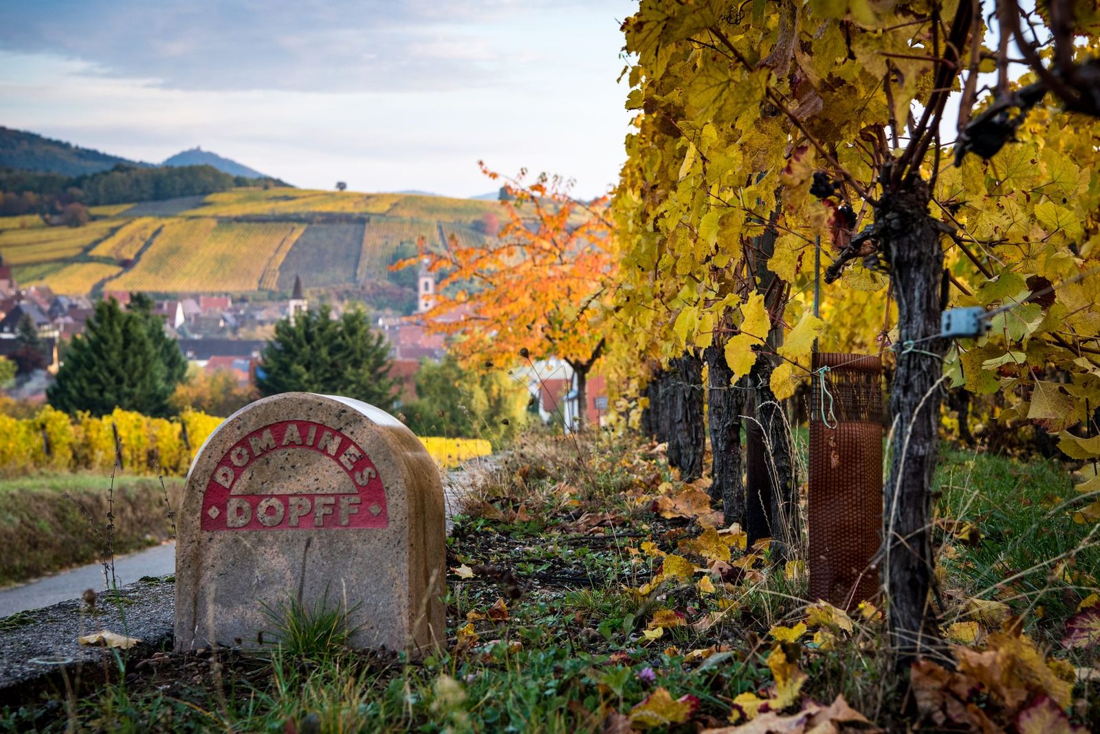 Domaine Dopff Au Moulin