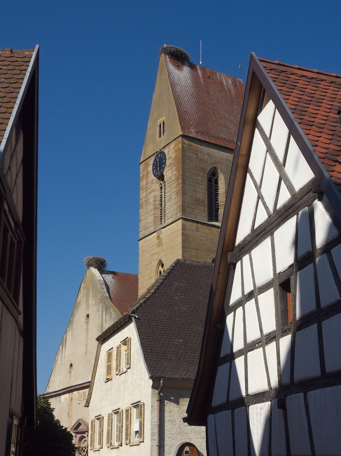 July 2020 PBH Eguisheim 11