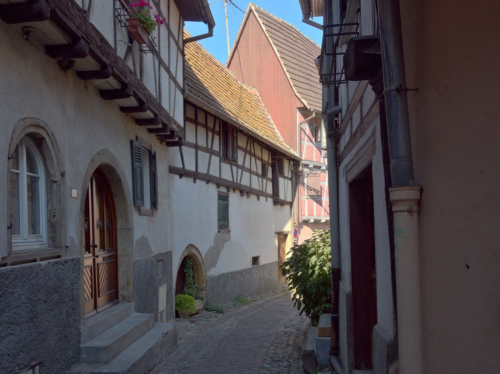 July 2020 PBH Eguisheim 16
