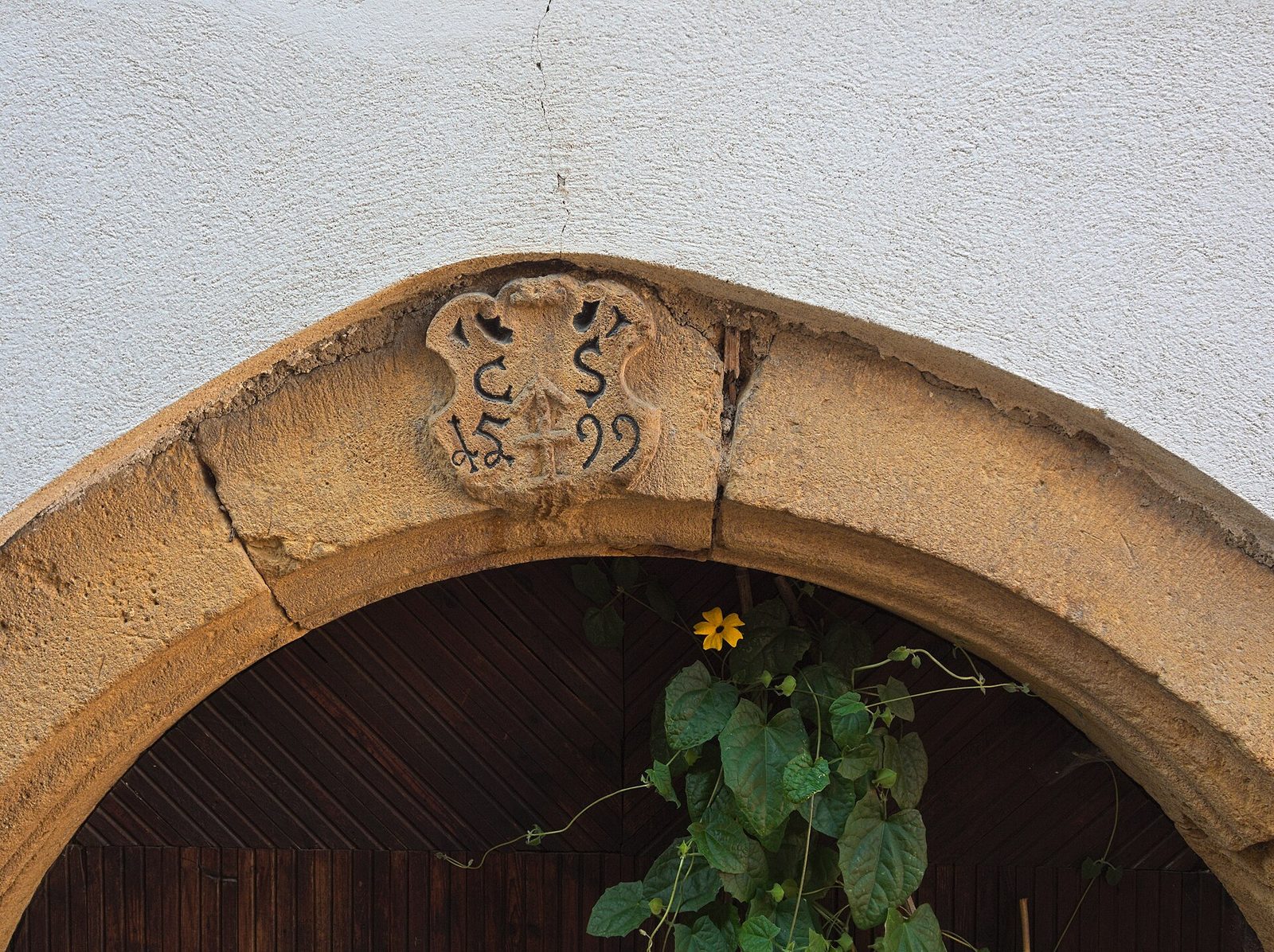 July 2020 PBH Eguisheim 17