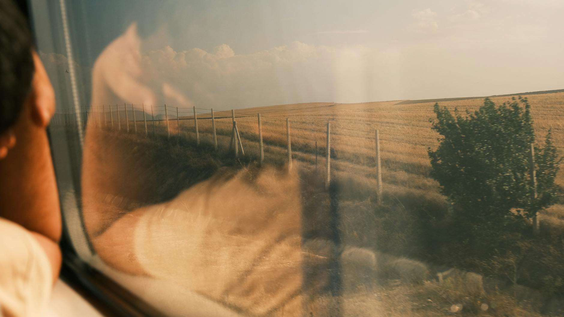 Scenic view of farmland seen through a train window with a person's reflection.