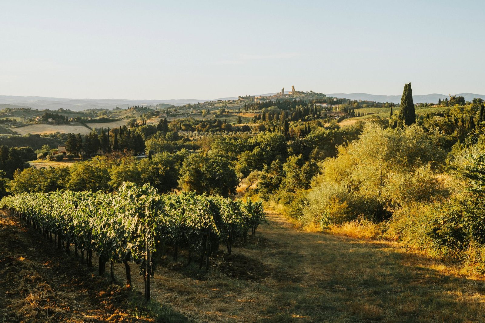 A serene view of rolling vineyards and hills in Tuscany, bathed in warm sunset light.