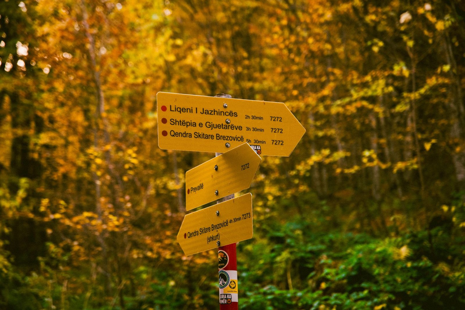 Yellow signposts marking directions in a scenic autumn forest landscape.