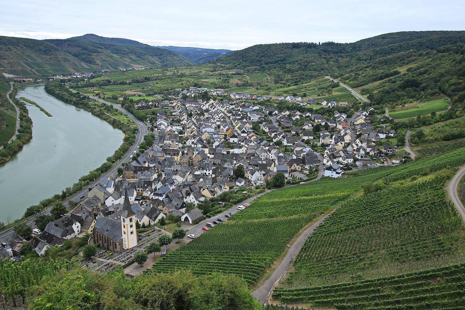 Bremm (Mosel) und Calmont 2H1A0563WI