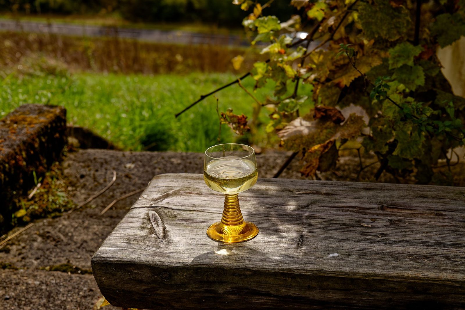 Glass of white wine on a vintage table outdoors in vineyard setting under sunlight.