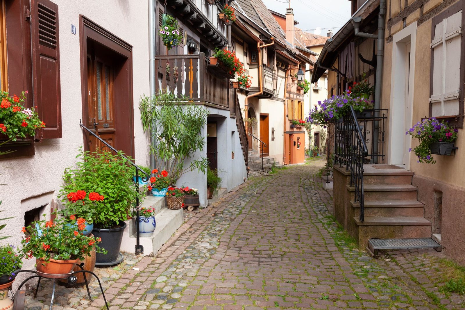 Picturesque cobblestone street with floral decorations and half-timbered houses in Eguisheim, France.