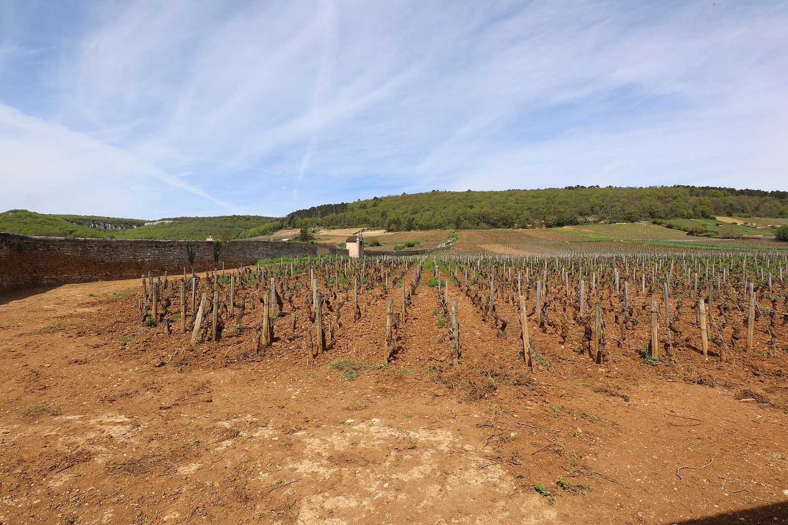 Gevrey-Chambertin (21) Le Clos Saint-Jacques - 01