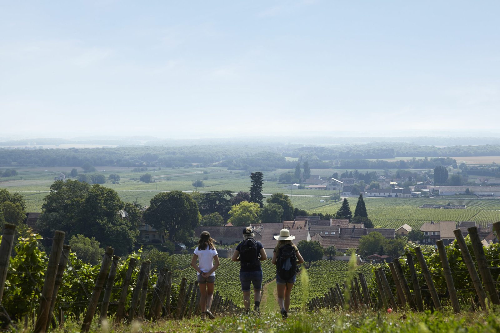 Halle Chambertin
