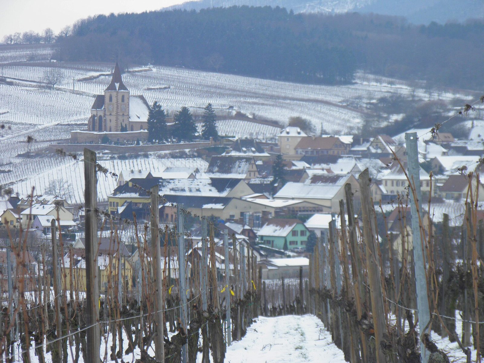 Village (Hunawihr) (1)