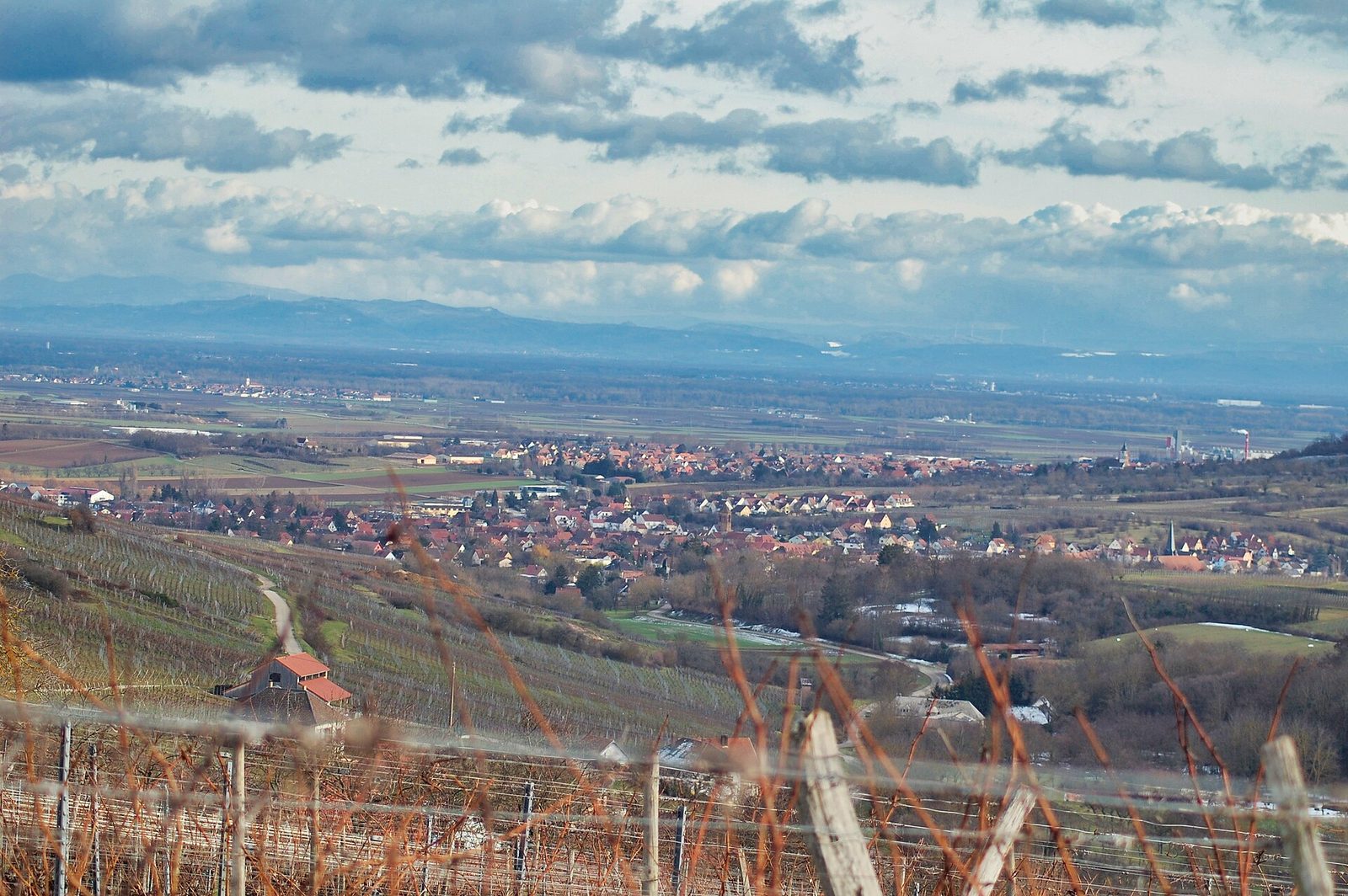 From the vineyards of Alsace to the Black Forest of Germany