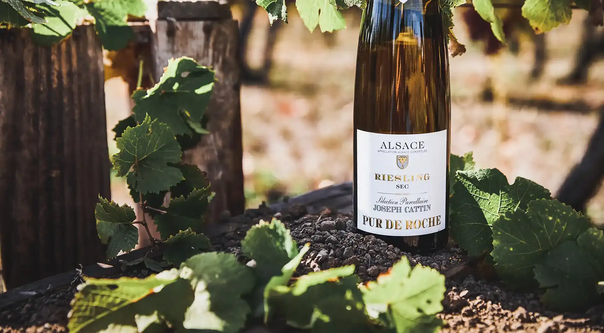 Joseph Cattin - Vins et crémants d'Alsace