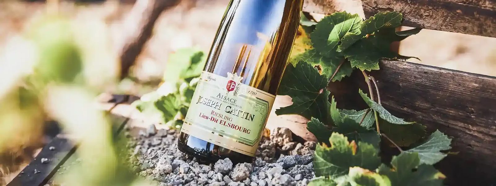 Joseph Cattin - Vins et crémants d'Alsace